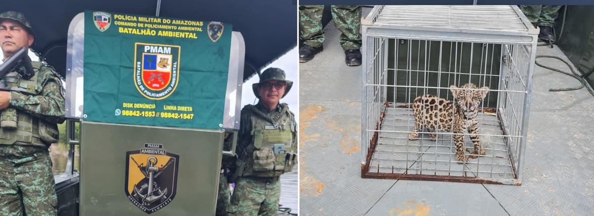  (Foto: Divulgação/PMAM)