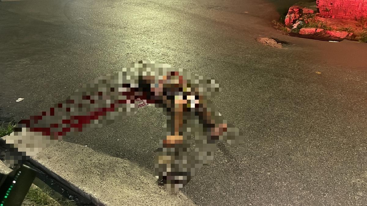  (Foto: Divulgação)