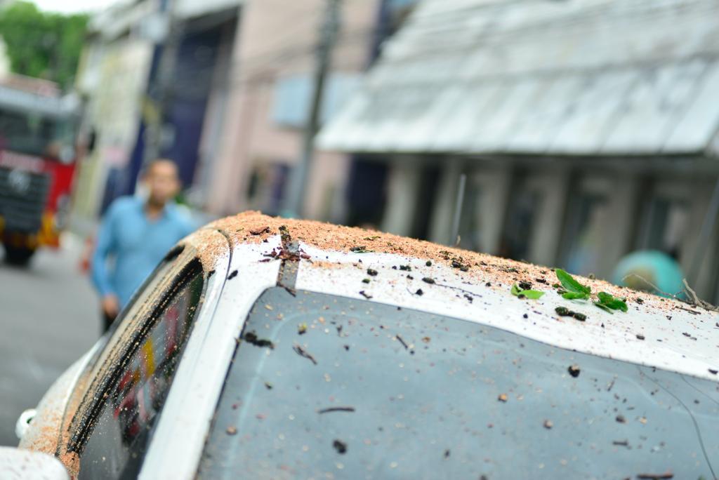 (Foto: Junio Matos/A CRÍTICA)
