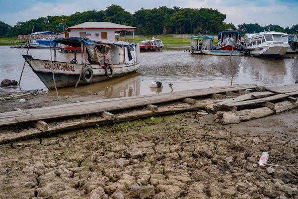 Em 2023, Manaus sofreu a maior seca em 121 anos (Foto: Rafa Neddermeyer / Agência Brasil)