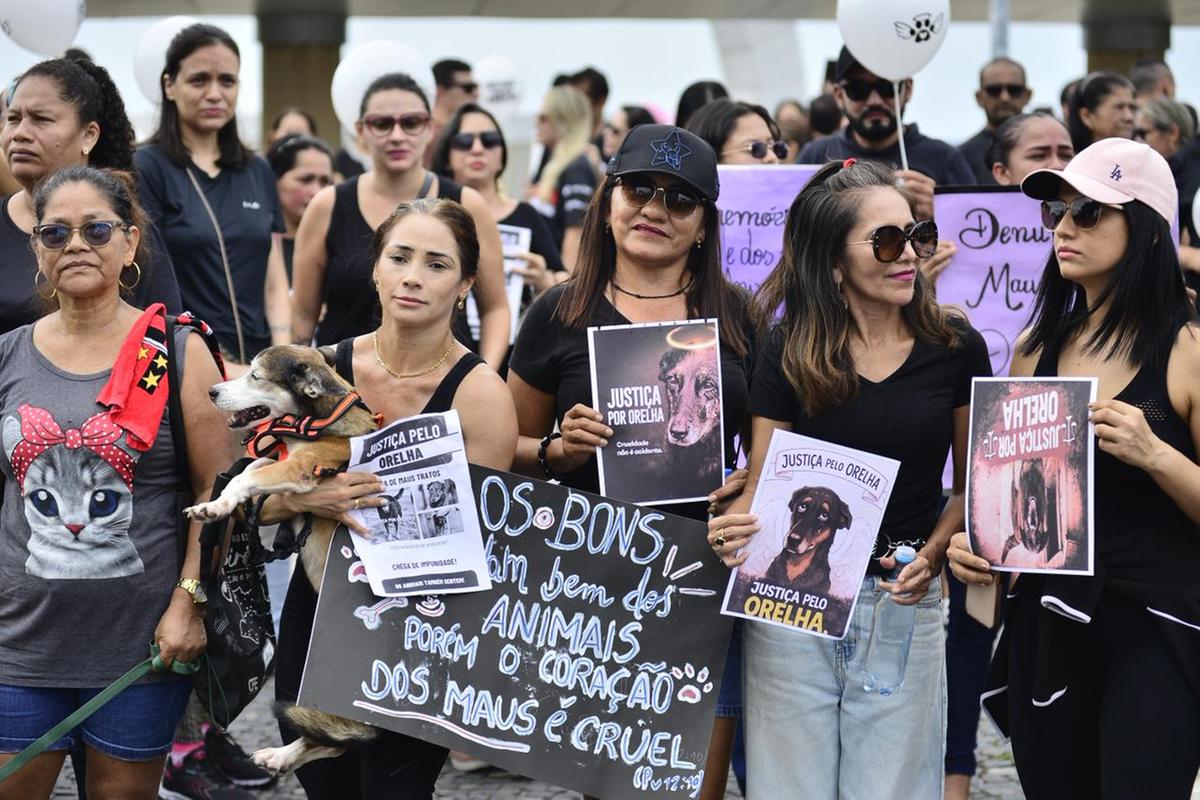 (Foto: Junio Matos)