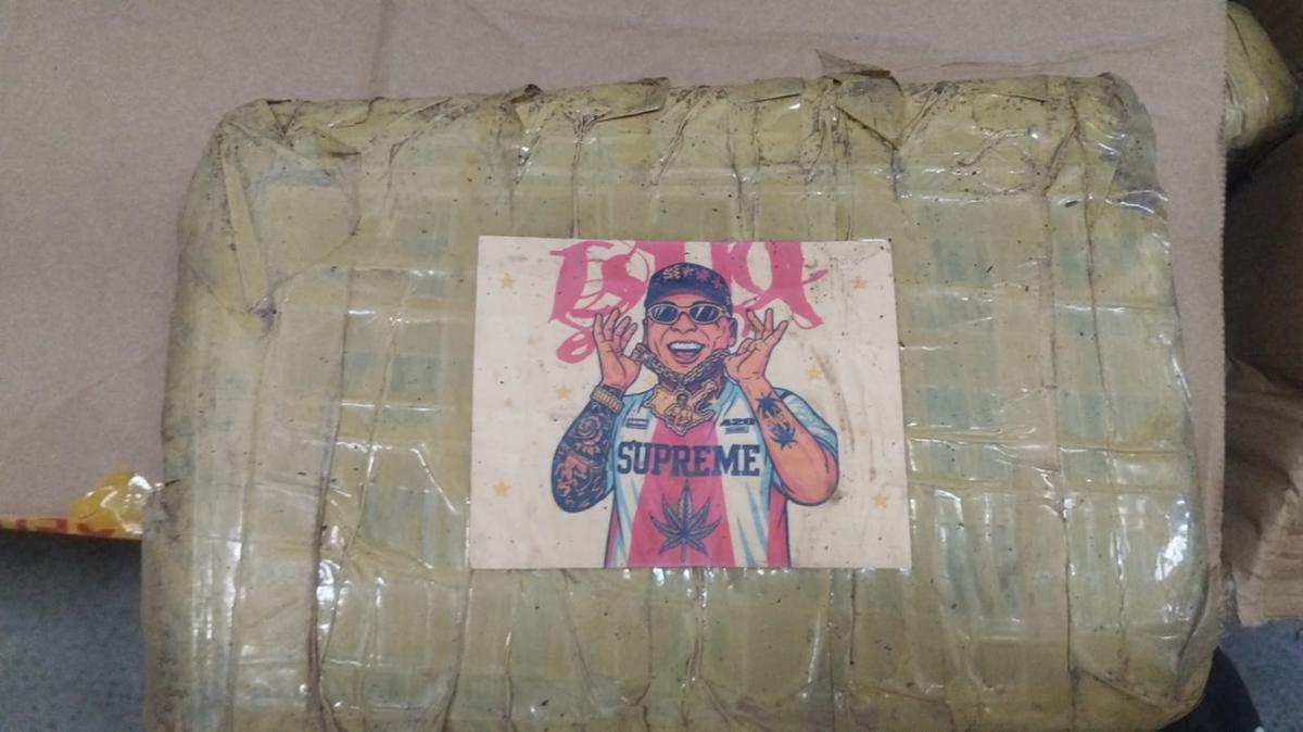 (Foto: Divulgação)