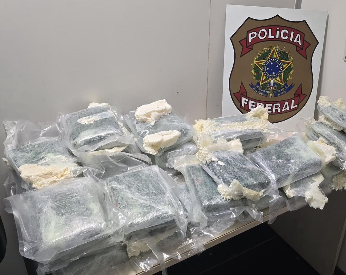 Tabletes de skunk apreendidos pela Pol&iacute;cia Federal durante fiscaliza&ccedil;&atilde;o no Aeroporto Internacional de Manaus (Divulga&ccedil;&atilde;o)