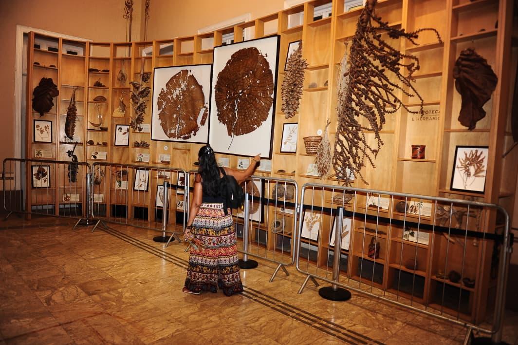 Exposição no Museu da Cidade apresenta elementos da biodiversidade e da história da Amazônia