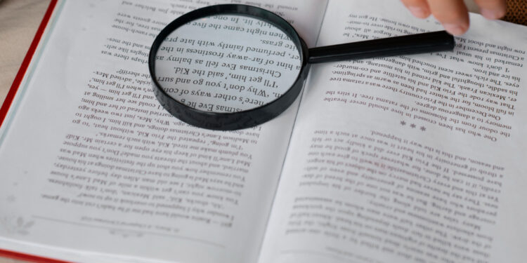 Afinal, qual é a palavra certa para se referir sobre um grupo de pássaros?