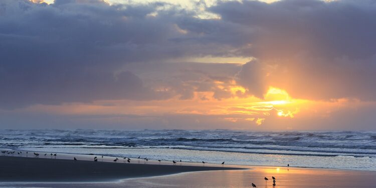 Praia com a maior onda do Brasil com quase 15 metros virou ponto turístico importante do país