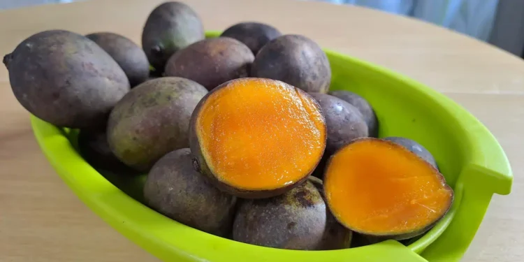 6 frutas que correm risco de serem extintas de vez