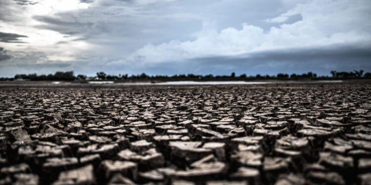 Cidade que menos chove no Brasil vive seca a partir de maio fazendo a população usar técnicas de sobrevivência