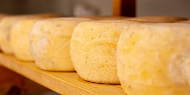 5 tipos de queijo que só existem no Brasil