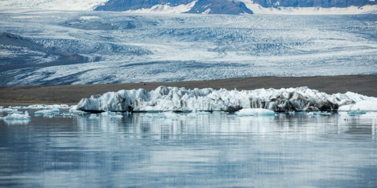 Cientistas foram surpreendidos com o predador que encontraram na Antártida