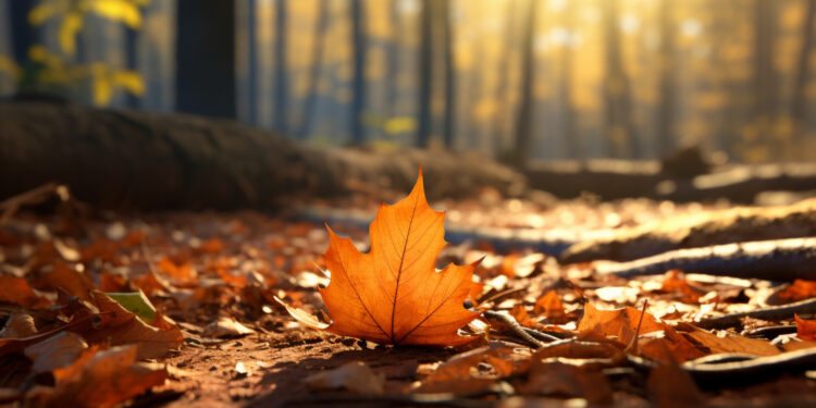 Dias de outono vão chegar antes em região do Brasil graças a massa de ar frio