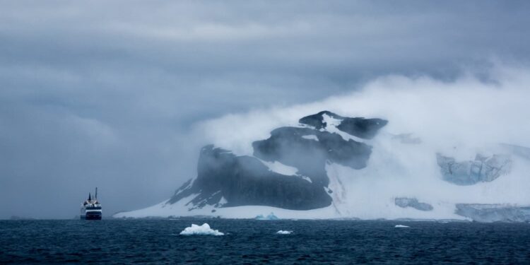Animal com 20 braços foi achado por cientistas em dos lugares mais afastados do planeta