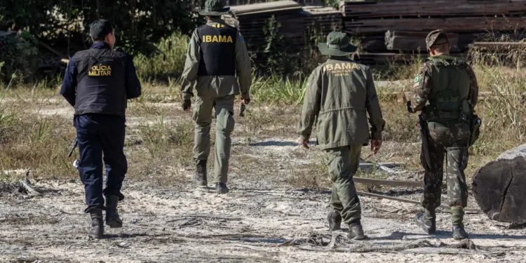 IBAMA confirma 4 aves proibidas, que não podem ser criadas em casa sem autorização