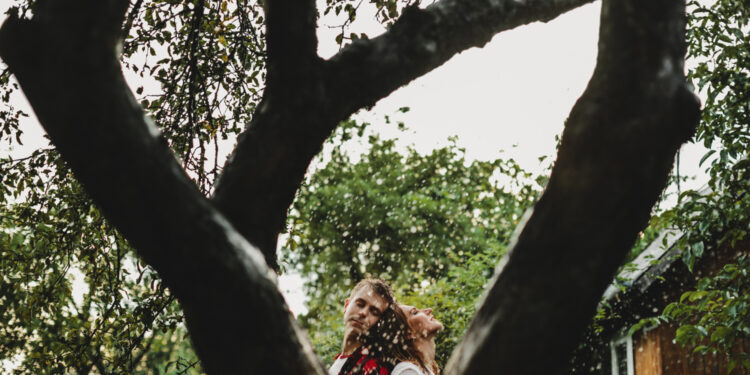 A árvore ideal para o seu quintal gera sombra, dá frutas e não racha o piso