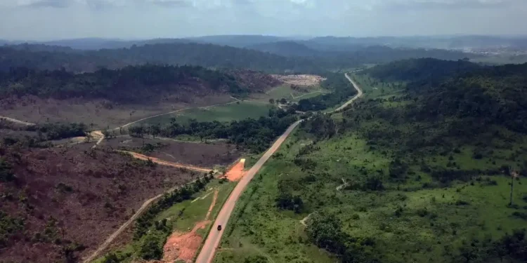 Revelado porque a rodovia Transamazônica não possui asfalto
