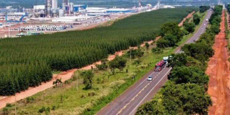 Vale da Celulose no Brasil vai receber quase R$ 100 bilhões em investimentos com apenas duas fábricas