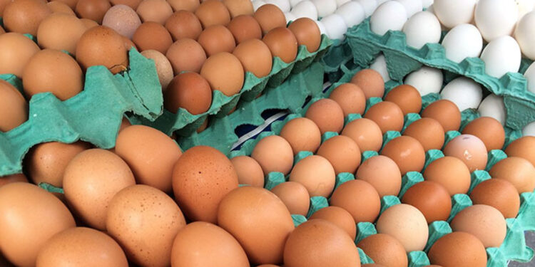 Rei dos Ovos do Brasil