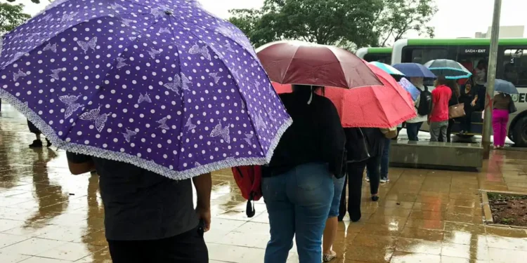 Substituto do guarda-chuva chegou na Europa para melhorar a vida dos brasileiros
