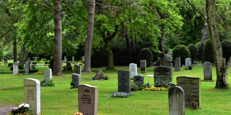 Nova lei sancionada vai permitir o enterro de animais domésticos em cemitério