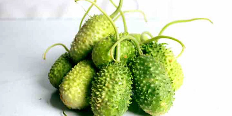 5 benefícios do maxixe: um dos vegetais mais poderosos do mundo