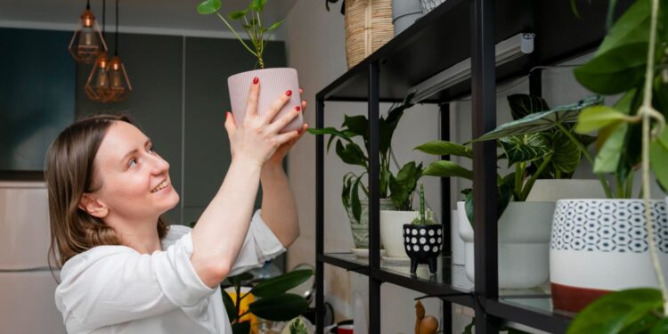 Plantas ideais para quem mora em apartamento