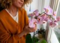 Cuidados necessários para se cultivar orquídeas em casa