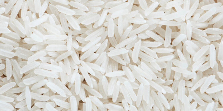 Por que é recomendado colocar um pote de arroz com bicarbonato de sódio na geladeira durante a noite