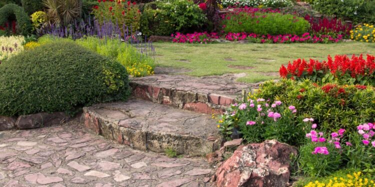 Tenham flores o ano todo com essas plantas no seu jardim