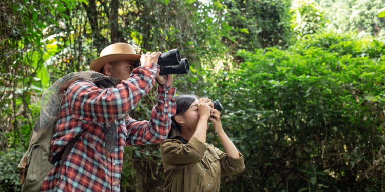 Cientistas descobrem nova espécie de animal na Amazônia
