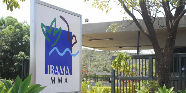 Brasileiros são alertados sobre novo golpe que usa o nome do IBAMA