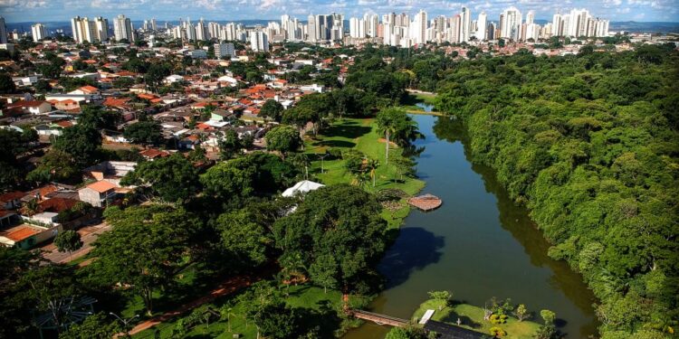 Cidade brasileira com mais árvores no mundo é a segunda melhor capital para morar