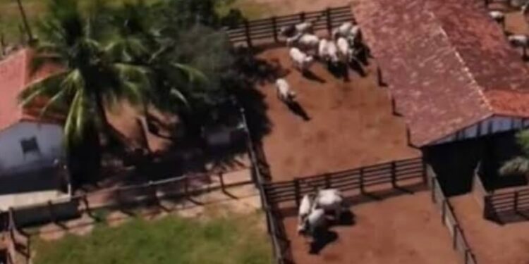 Fazenda milionária em Goiás pertence a esse cantor de dupla sertaneja