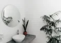 9 Plantas para banheiro: ideias para ambientes úmidos e com pouca iluminação