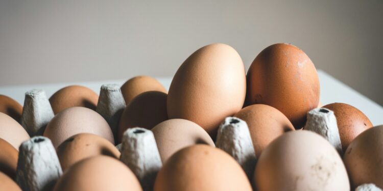 6 alimentos para substituir ovo no café da manhã