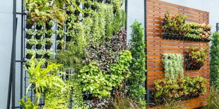 Faça uma horta vertical em casa e tenha alimentos frescos sempre