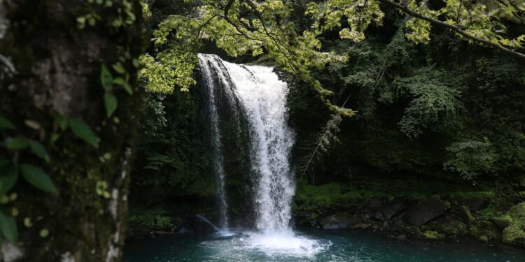 Peixe com gancho nas nadadeiras consegue escalar cachoeiras e nova descoberta surpreende cientistas