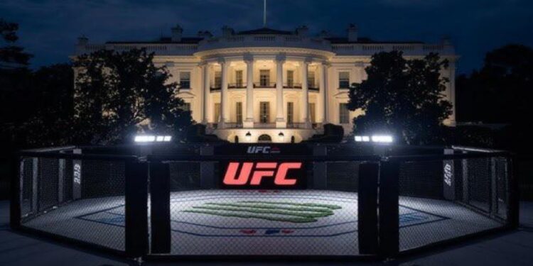 UFC Casa Branca: evento na sede dos EUA terá luta escolhida por Trump e premiação recorde