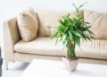 Melhore maneira de usar plantas artificiais para decoração