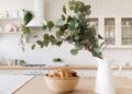 6 plantas repelentes de insetos que você deve ter na sua casa