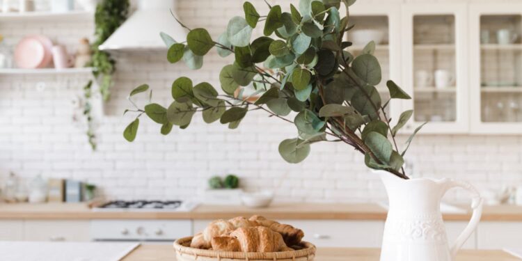 6 plantas repelentes de insetos que você deve ter na sua casa
