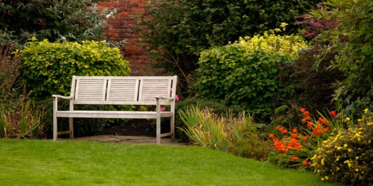 Plantas aromáticas para ter no seu jardim e se surpreender com o perfume