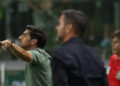 Cruzeiro e Palmeiras travam disputa por titular absoluto do Botafogo