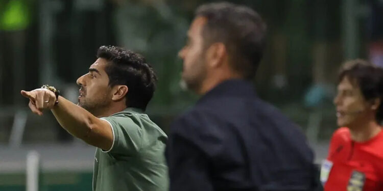 Cruzeiro e Palmeiras travam disputa por titular absoluto do Botafogo