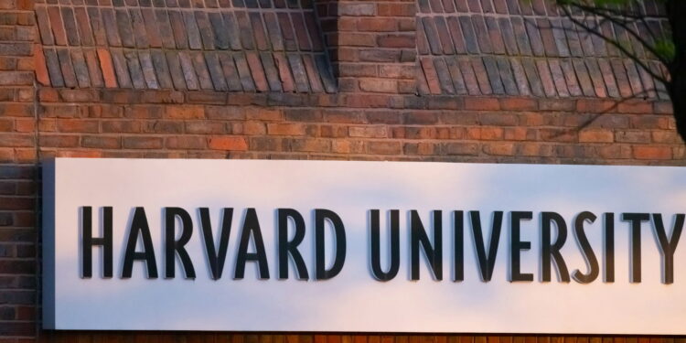 Pesquisadores de Harvard indicam quantos passos por dia idosos devem caminhar para frear o Alzheimer