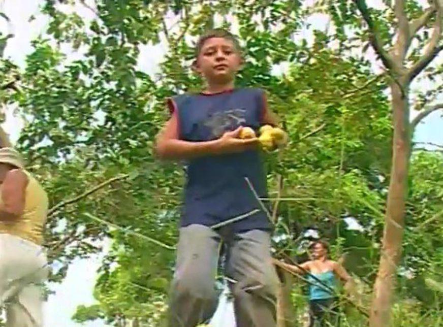 Mais de 30 mil crianças e adolescentes trabalham no Amazonas