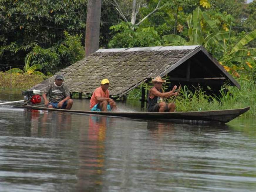 Apesar da relevância, igapó e várzea são vulneráveis às mudanças climáticas