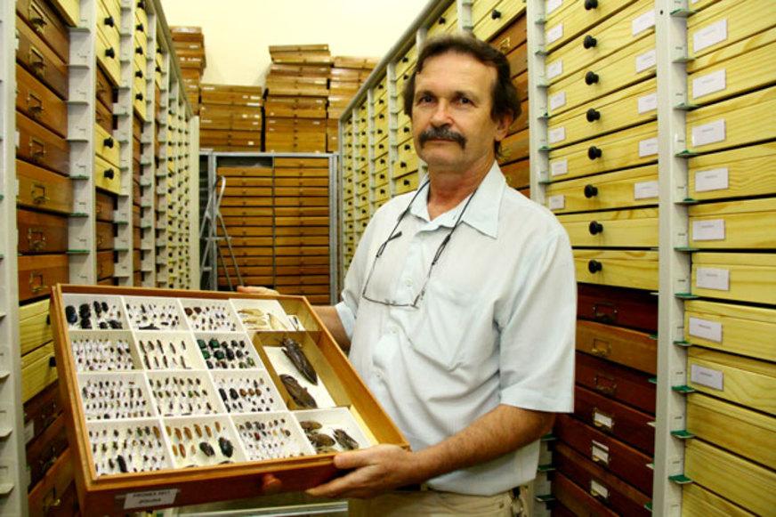 Besouros garantem a diversidade da flora Amazônica, diz estudo