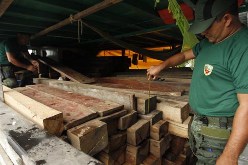 Madeira ilegal é apreendida no interior do Amazonas