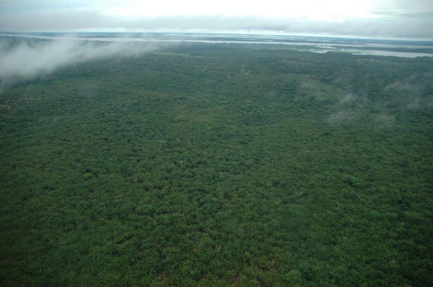 O exemplo de floresta preservada na região