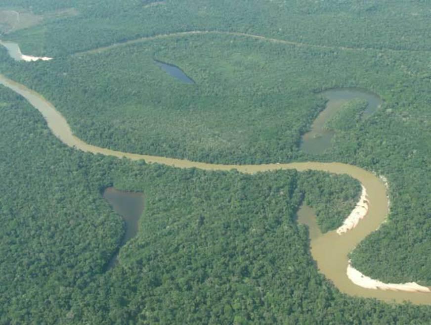 Votação do Código Florestal abre discussão sobre futuro da floresta